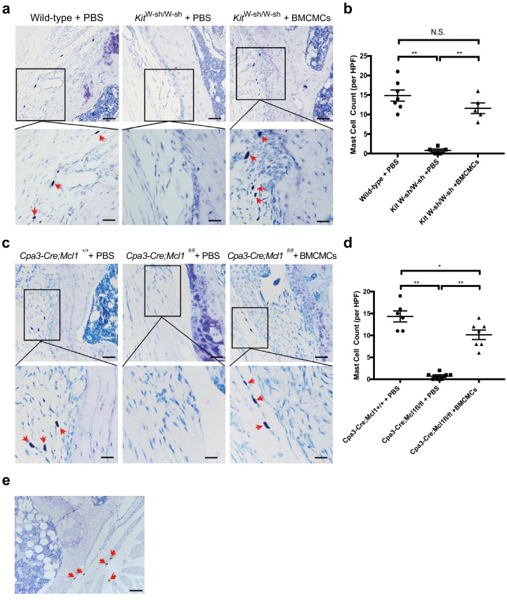 Figure 2—figure supplement 3.