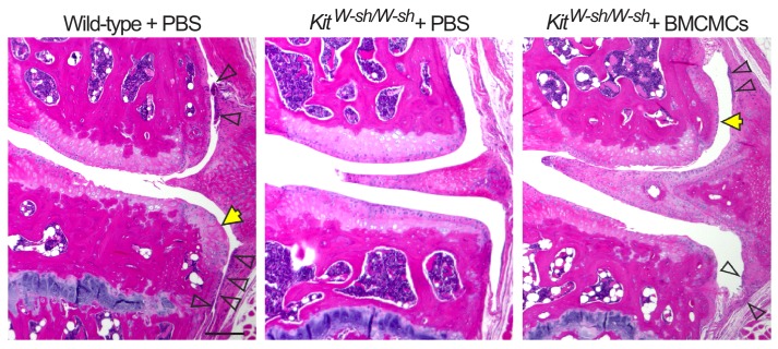 Figure 2—figure supplement 2.