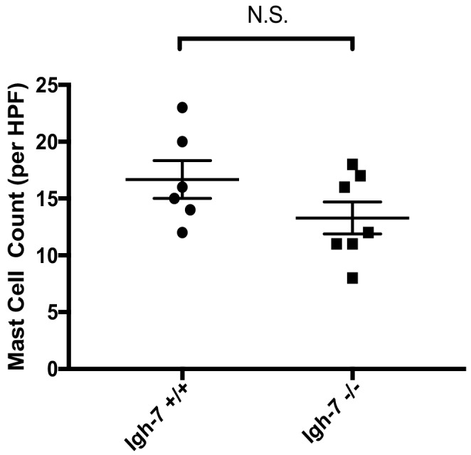 Figure 4—figure supplement 2.