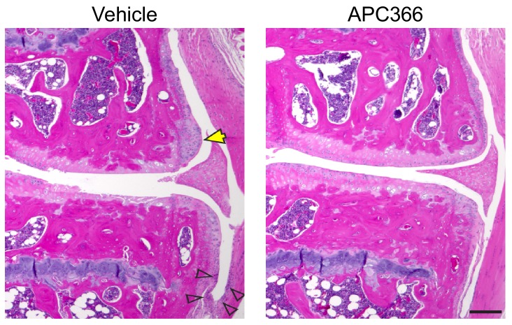 Figure 3—figure supplement 1.