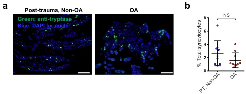 Figure 1—figure supplement 2.