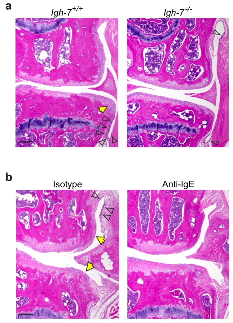 Figure 4—figure supplement 1.