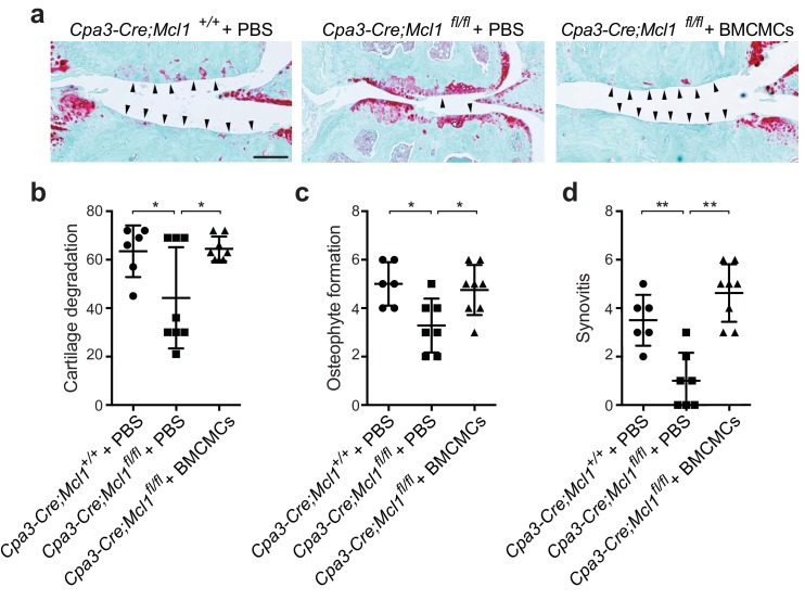 Figure 2—figure supplement 1.