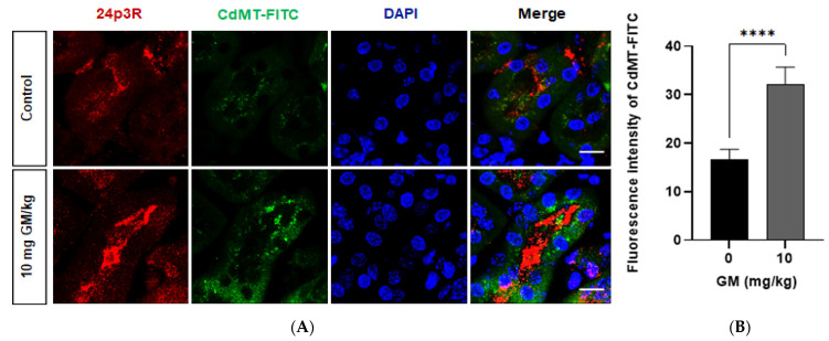 Figure 11