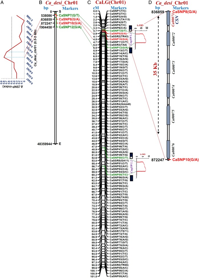 Figure 3.