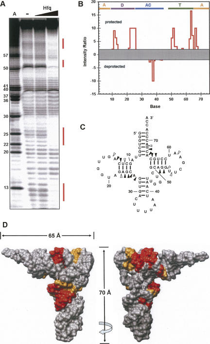 FIGURE 4.