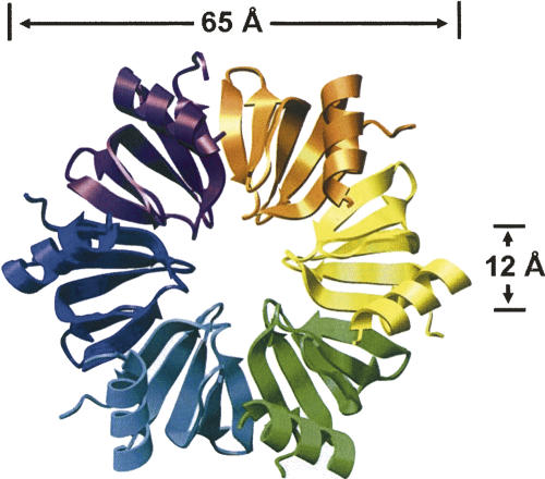 FIGURE 1.