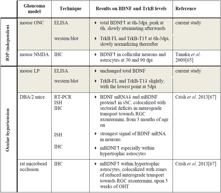 Fig 10