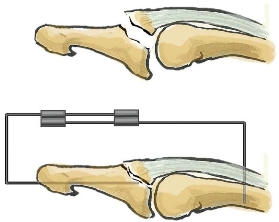 Fig. 9