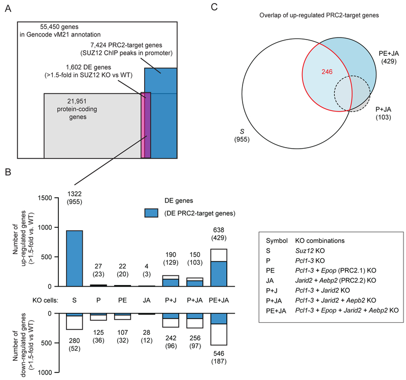 Figure 7: