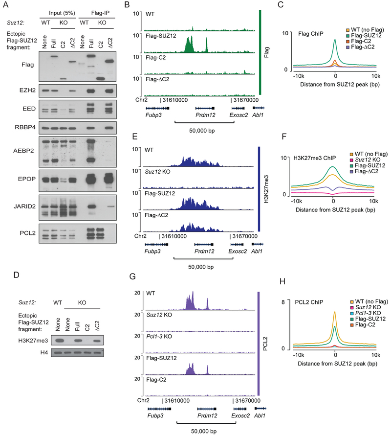 Figure 2: