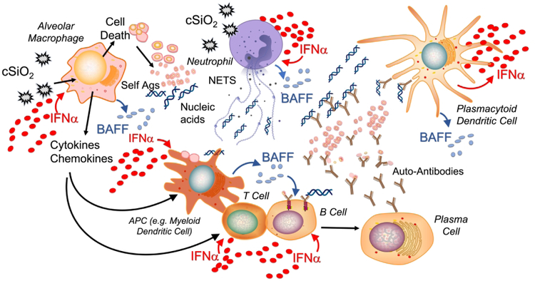 Figure 1: