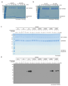 Extended Data Figure 7