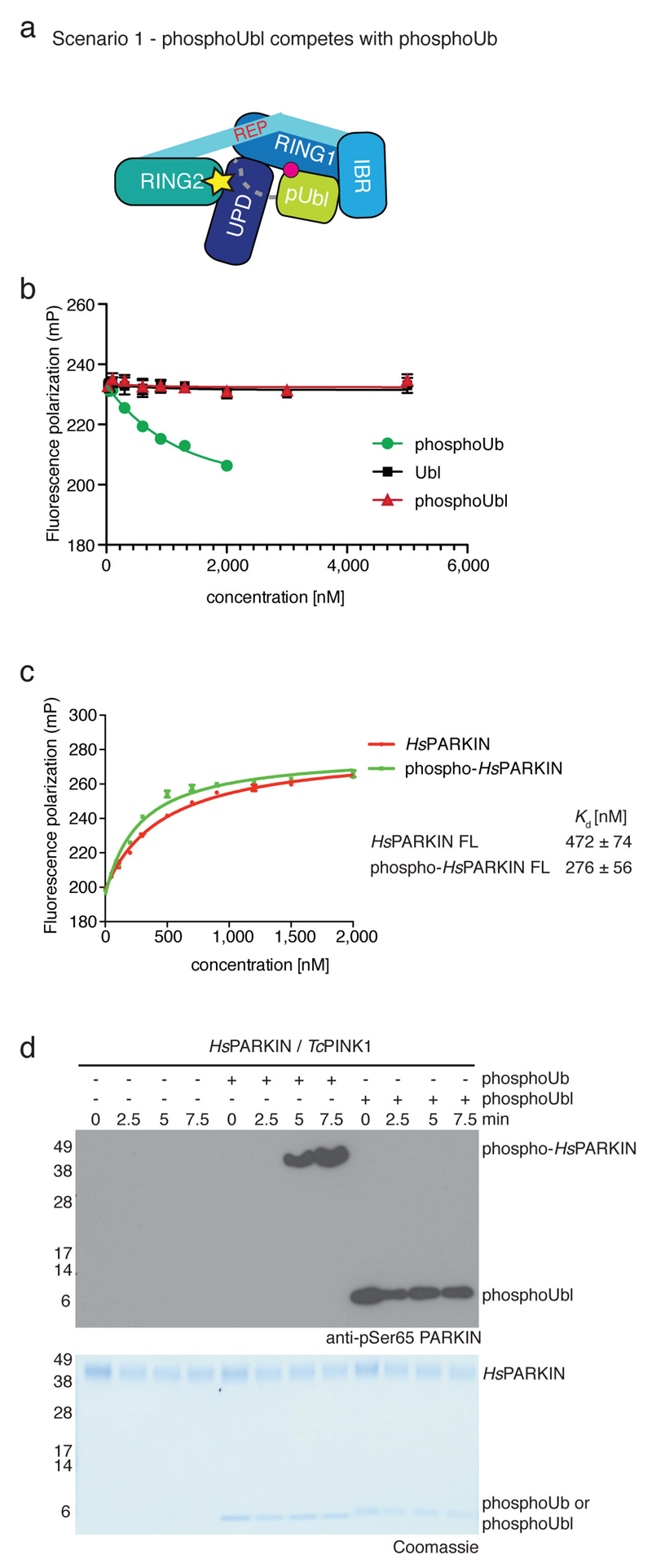 Extended Data Figure 9