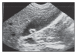 Figure 7b