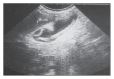 Figure 4a