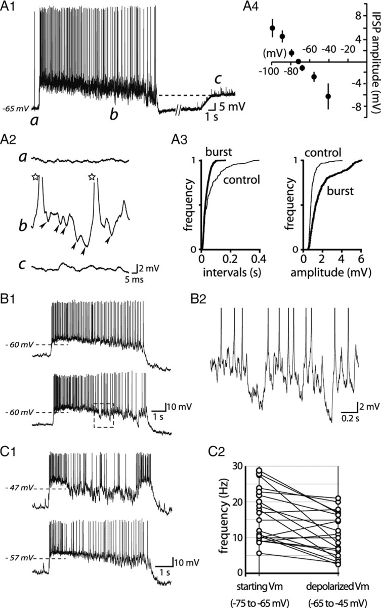 Figure 11.