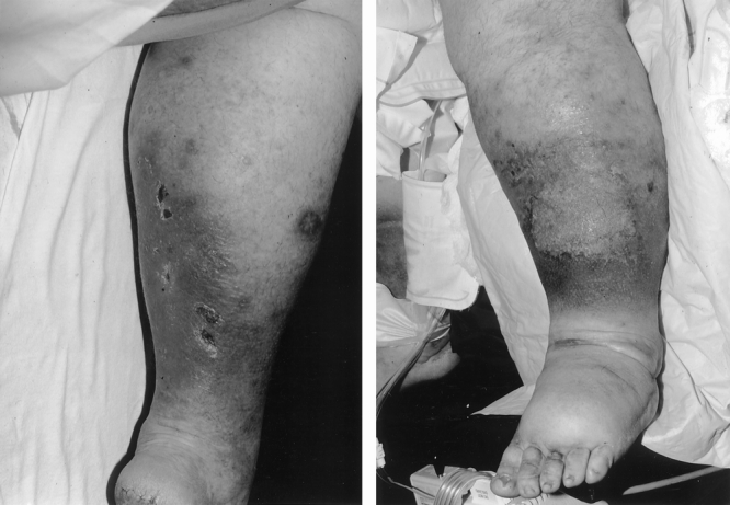 graphic file with name 7FF3.jpg