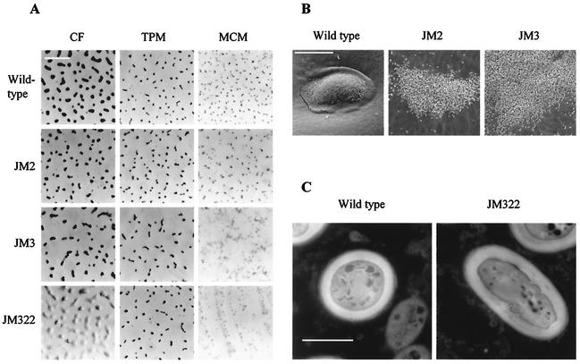 FIG. 4.