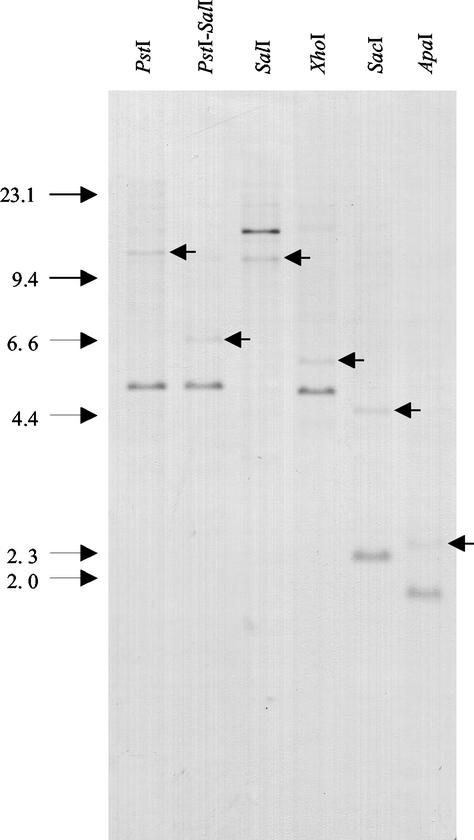 FIG. 3.