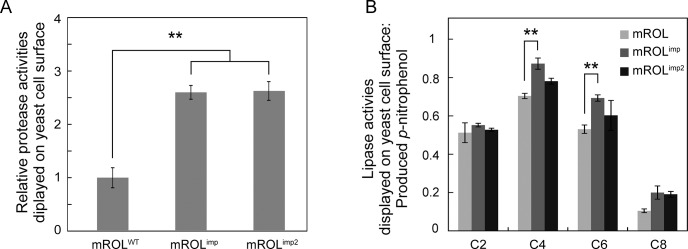 Fig 4