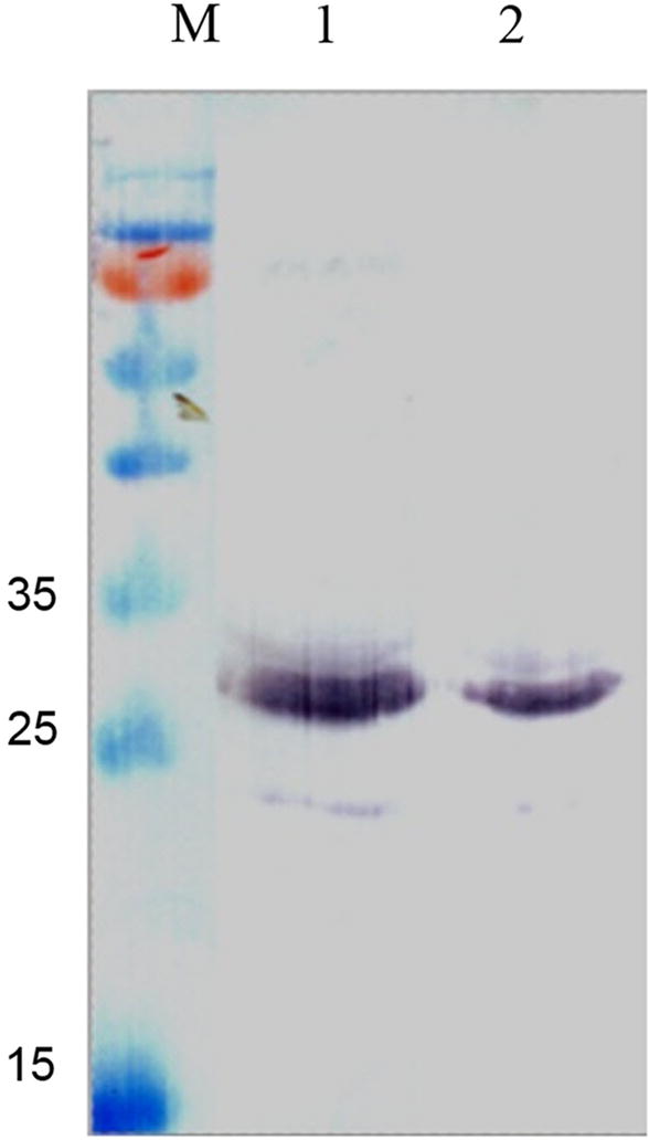 Fig. 7