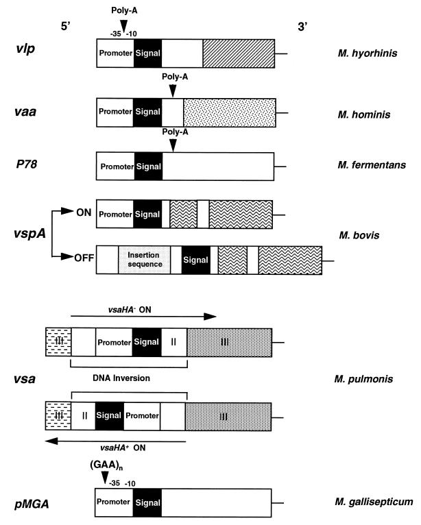 FIG. 6