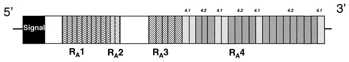 FIG. 5