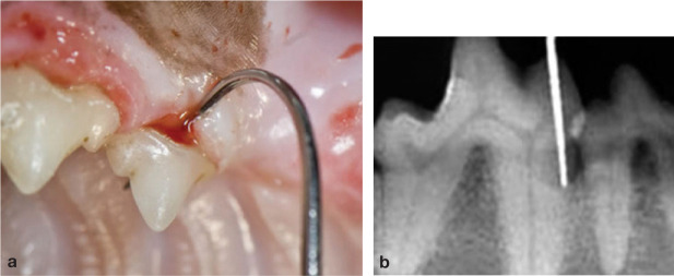 FIG 5