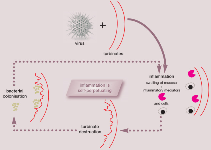 graphic file with name 10.1016_j.jfms.2010.05.006-fig10.jpg