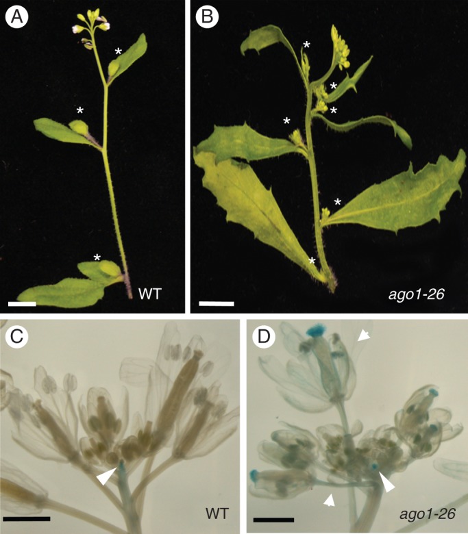 Fig. 4.