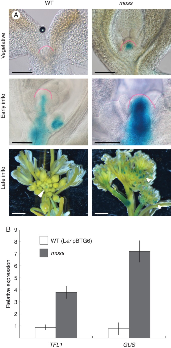 Fig. 2.