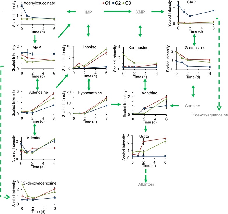 Fig. 4