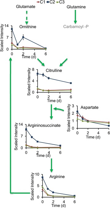 Fig. 3