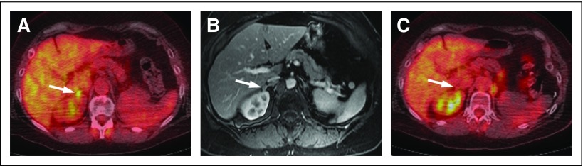 Fig A1.