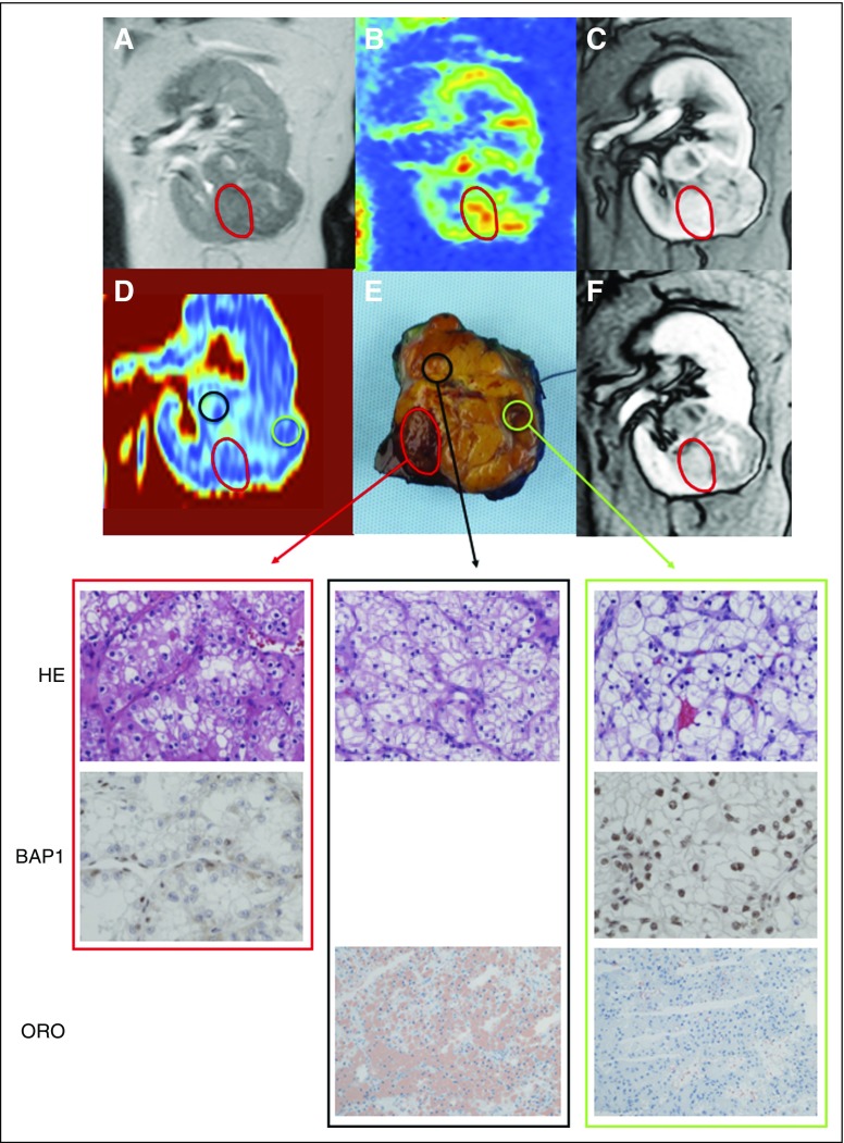 Fig 6.