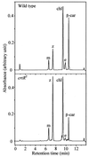 FIG. 6