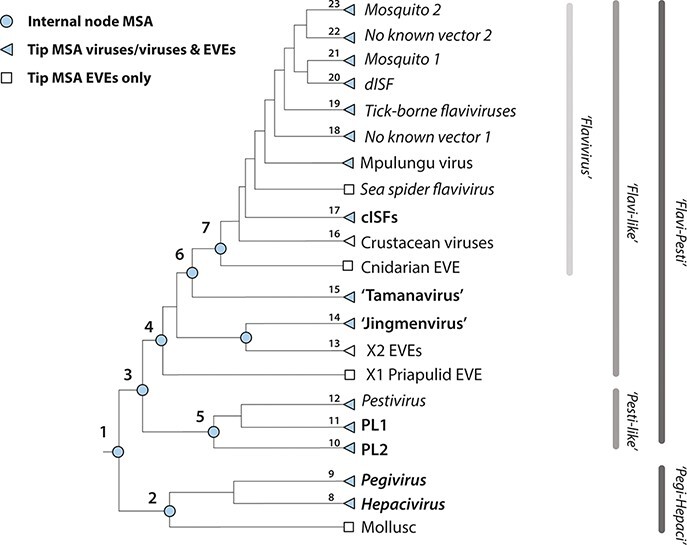 Figure 1.