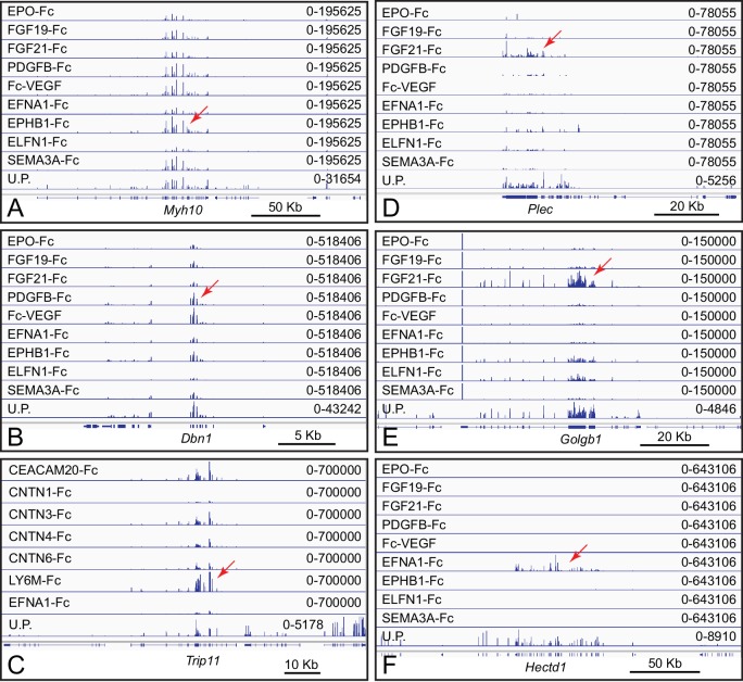 Figure 3—figure supplement 1.