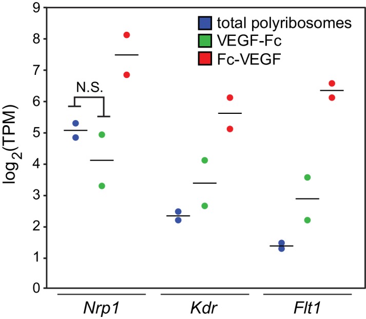 Figure 6—figure supplement 1.