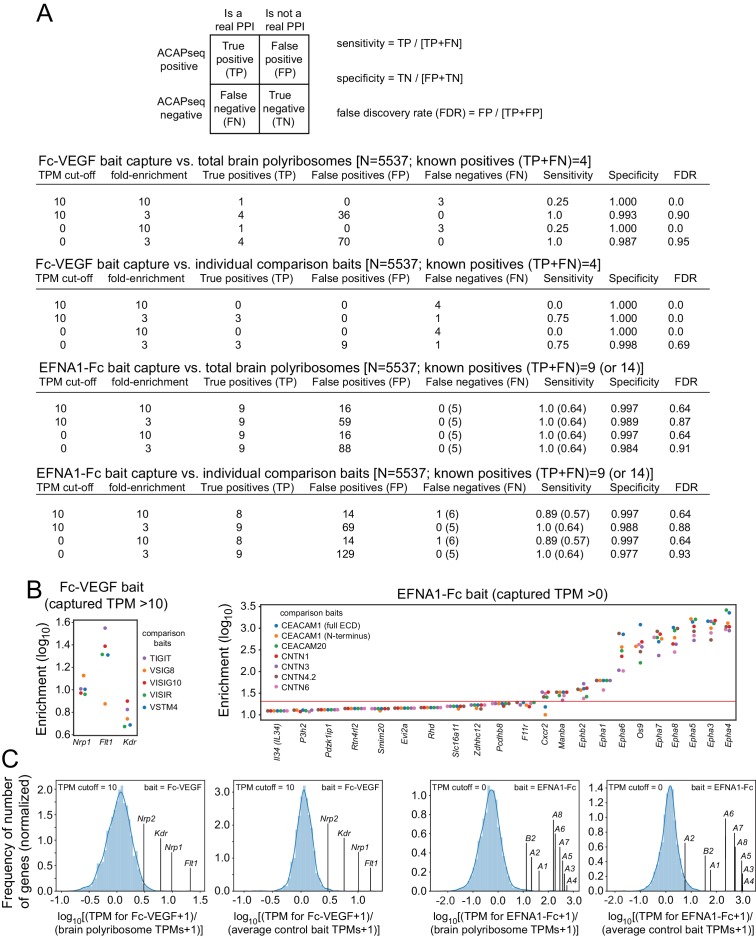 Figure 5—figure supplement 1.