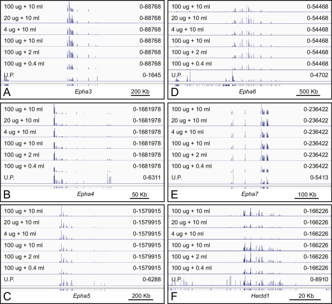 Figure 2—figure supplement 1.