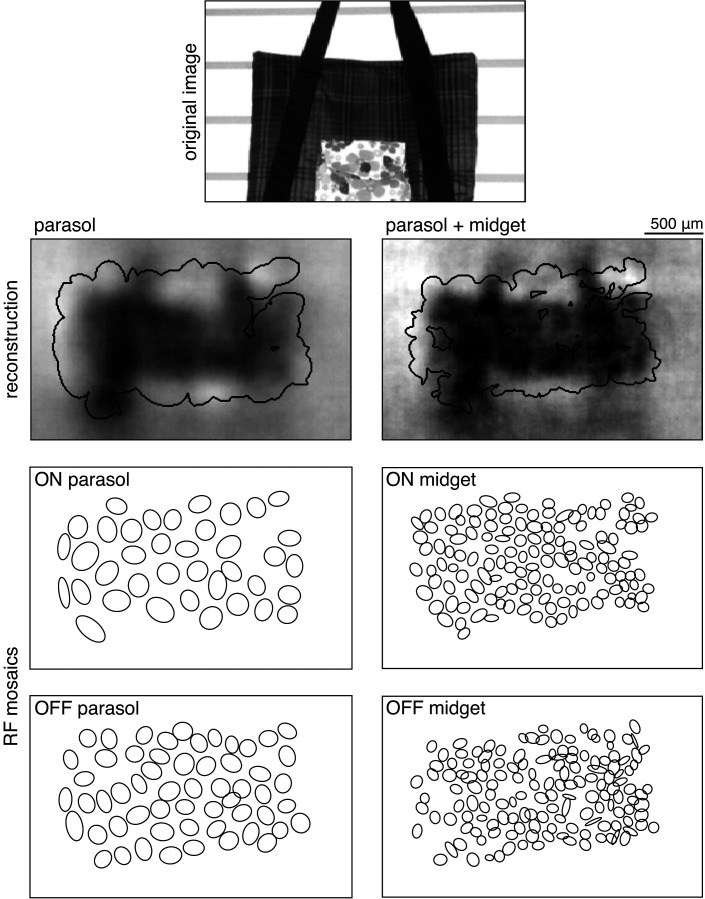 Figure 13.