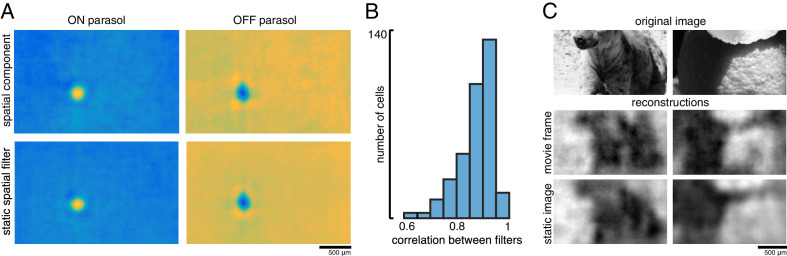 Figure 11.