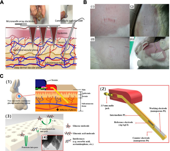 FIGURE 2