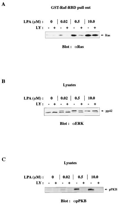 FIG. 6