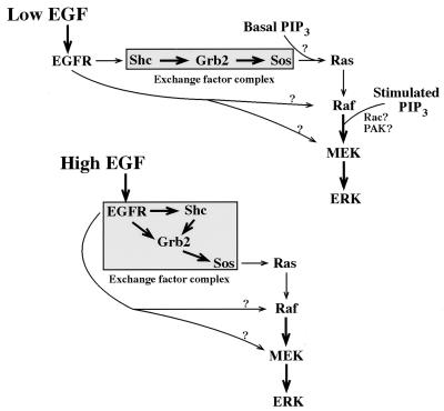 FIG. 7