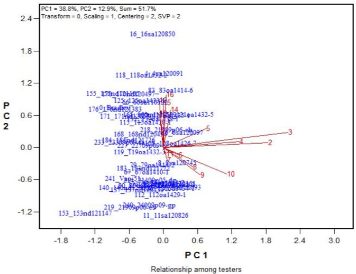 FIGURE 11