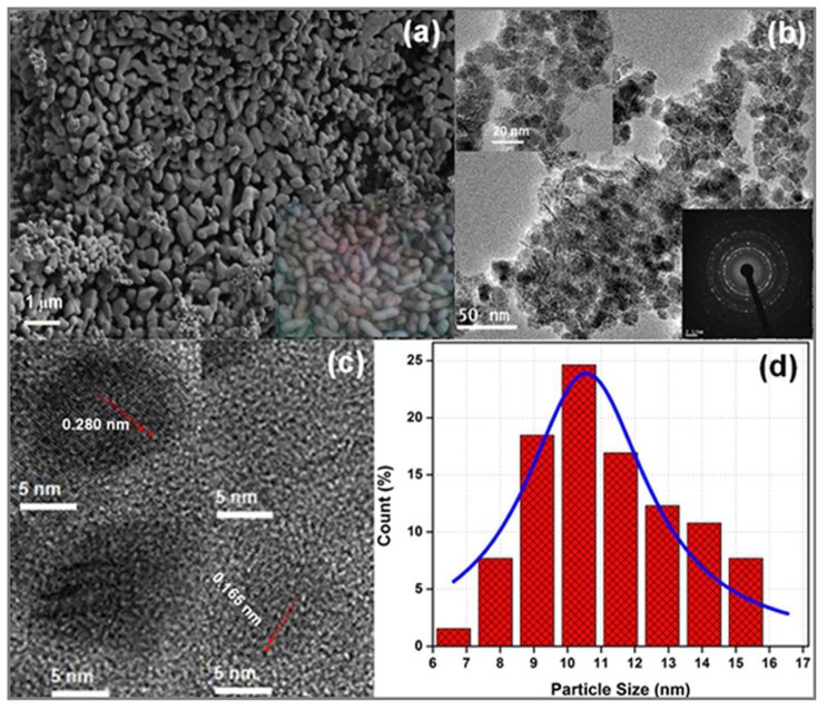 FIGURE 2