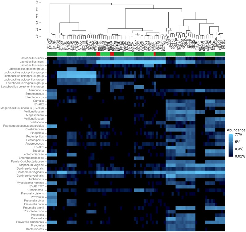 Fig 3